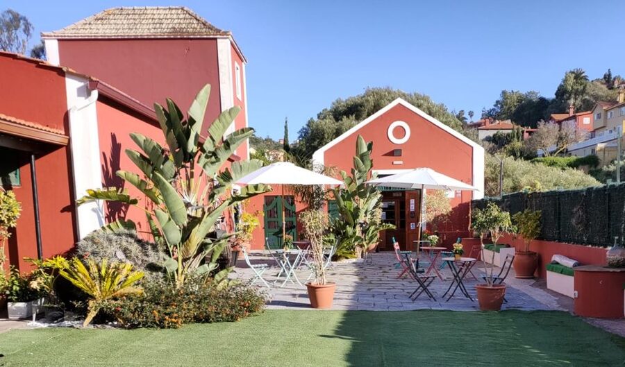 Gran Canaria: Winery Tour, Wine Museum, and Tasting - Should You Book This Gran Canaria Winery Tour?