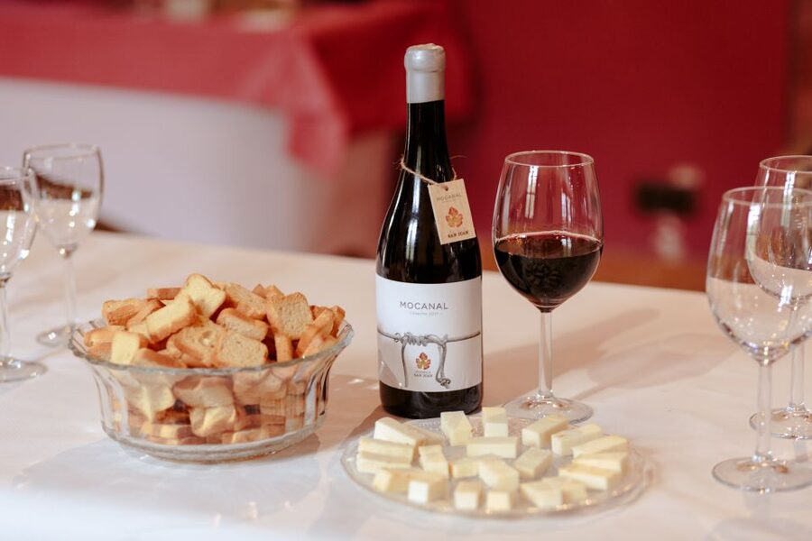 Gran Canaria: Winery Tour, Wine Museum, and Tasting - Vineyard Walk and Volcanic Soil: The Stuff That Changes the Taste