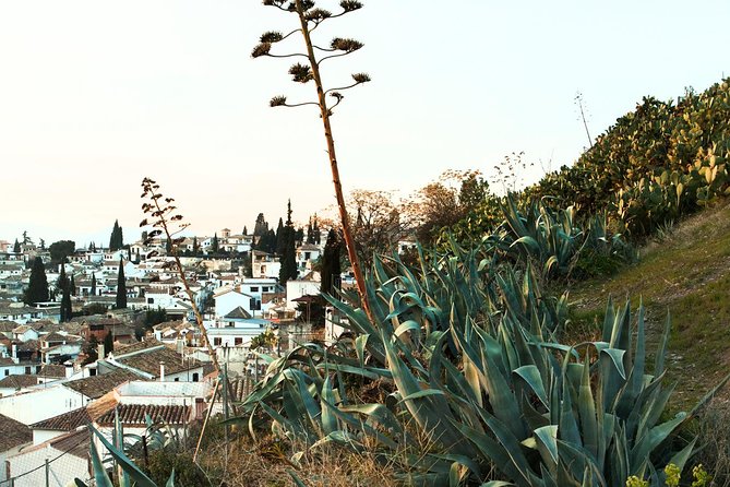 Granada: Albaicin and Sacromonte Private Tour - Camino del Sacromonte, walking toward caves and flamenco tradition