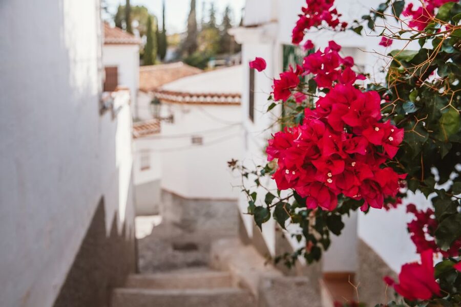 Granada: Albaicín and Sacromonte Walking Tour - Price and value: what $18 buys you in Granada