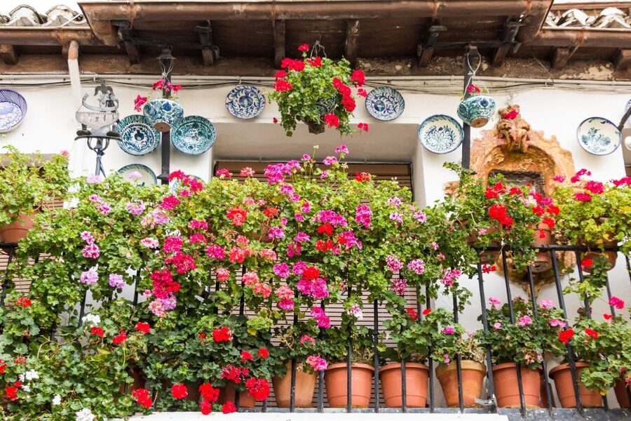 Granada: Albaicín and Sacromonte Walking Tour - Albaicín and Sacromonte, the Granada you actually feel