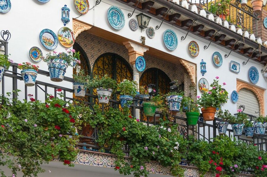 Granada: Albaicín, Sacromonte & Museum of Caves Walking Tour - The guide experience: what you can expect from the people running it