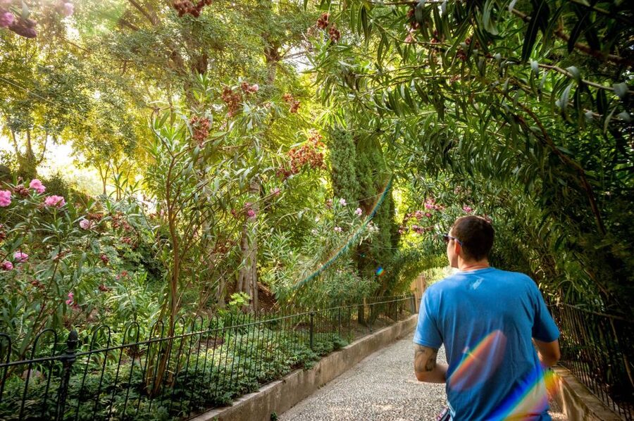 Granada: Alhambra Entry Ticket with Audio Guide - The Self-Guided Audio Navigator, What Works and What to Watch