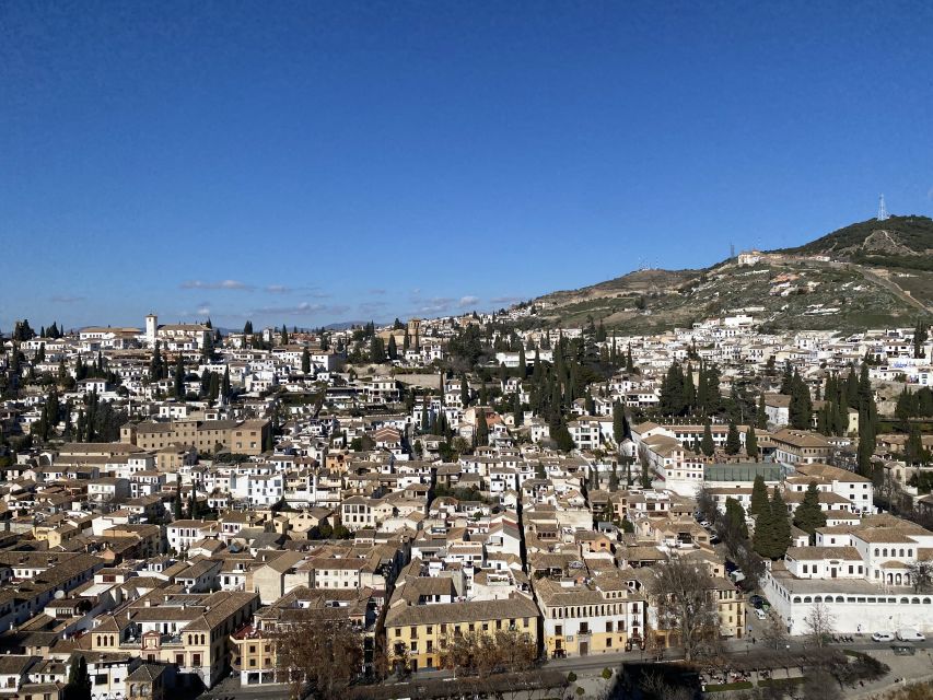 Granada: Alhambra & Generalife Fast-Track Guided Tour - Nasrid Palaces highlight: the Patio de los Leones and its engineering