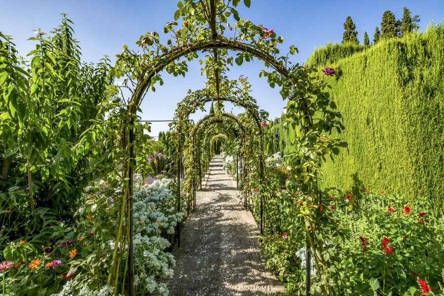 Granada: Alhambra, Nasrid, and Generalife Private Tour - Meeting Point, Tickets, and What You Should Bring