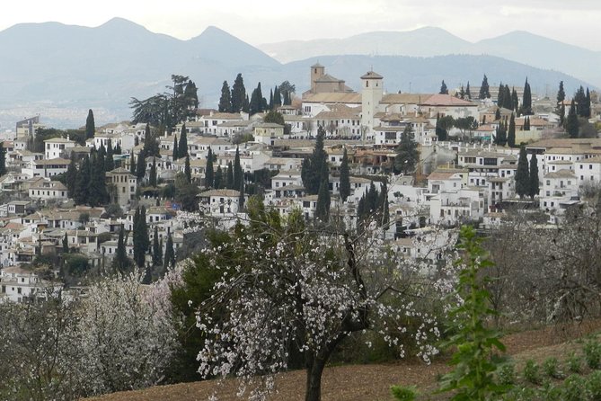 Granada Day Trip: Alhambra & Nazaries Palaces from Seville - Should you book this Alhambra and Nasrid Palaces day trip from Seville?