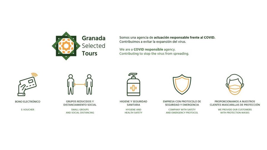 Granada: Fast-Track Alhambra & Nasrid Palaces Guided Tour - Fast-track tickets: what you really gain