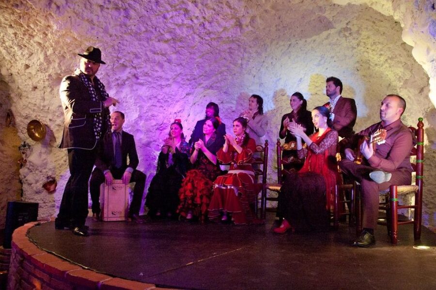 Granada: Flamenco Show at Templo del Flamenco with Drink - Who This Flamenco Night Fits Best