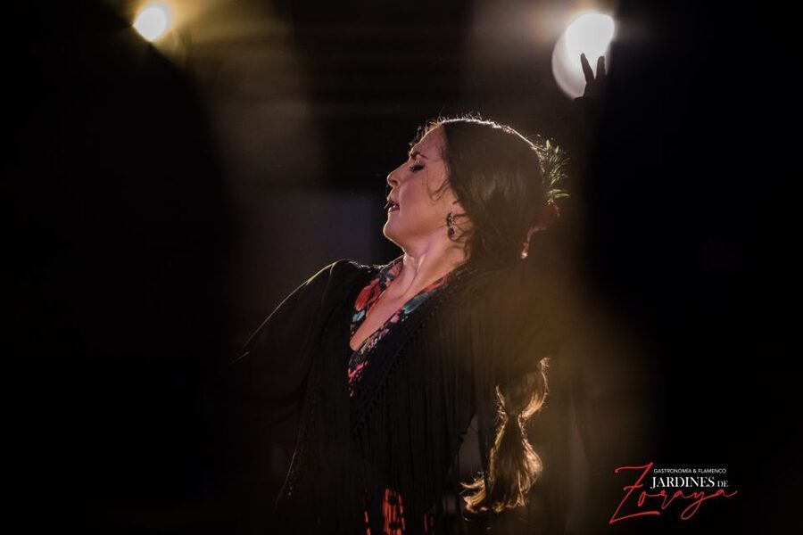 Granada: Flamenco Show in Albaycin - Jardines de Zoraya - Why Albaycín Flamenco Feels Personal at Jardines de Zoraya