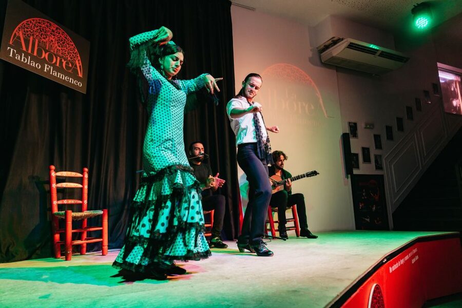Granada: Flamenco Show in La Alboreá - Tablao Flamenco La Alborea in Granada, the close-up flamenco setup