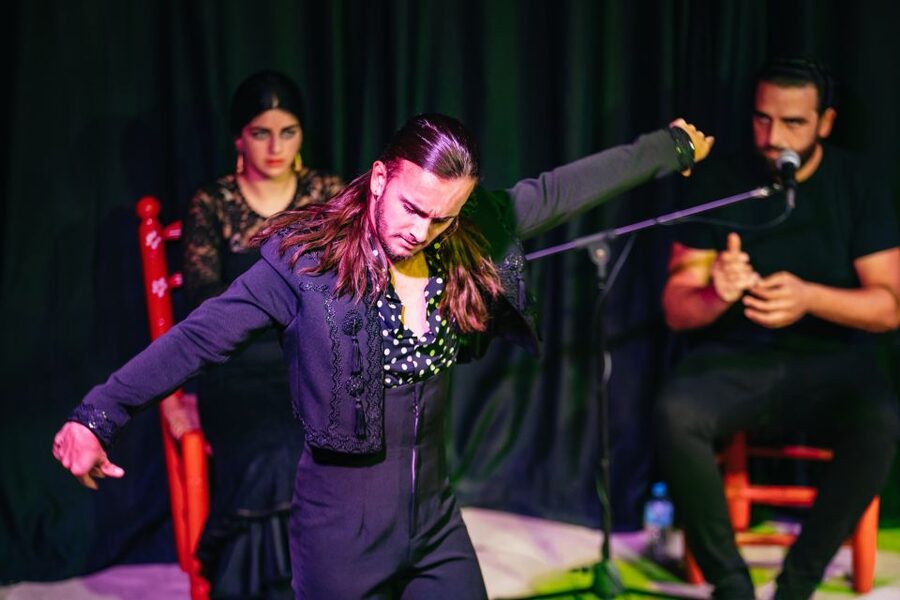 Granada: Flamenco Show in La Alboreá - Should you book La Alborea flamenco in Granada?