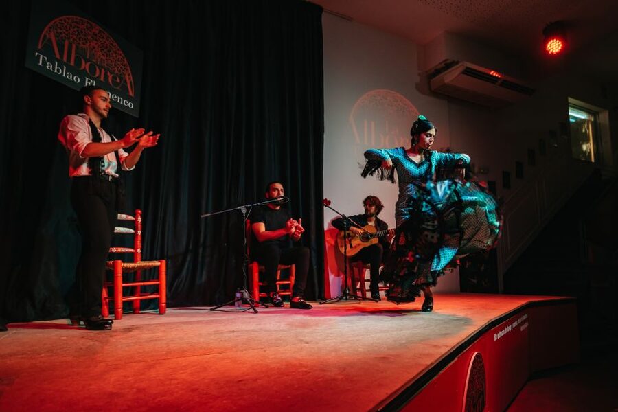 Granada: Flamenco Show in La Alboreá - Is it family-friendly, and what could go wrong