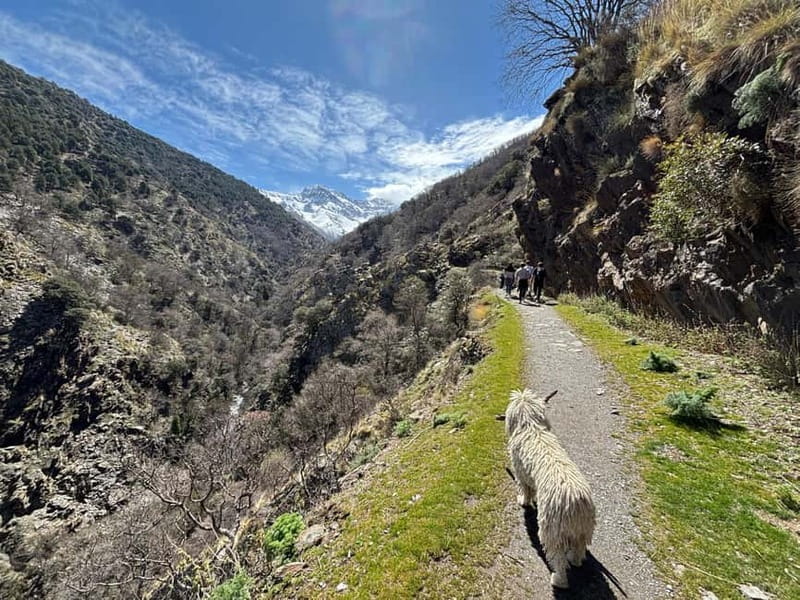 Granada: High Sierra Nevada Hiking Tour to 3000 Meters - Key points to know before you hike