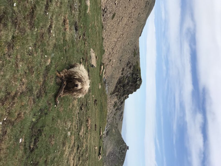 Granada: High Sierra Nevada Hiking Tour to 3000 Meters - Gear, Footwear Rules, and What to Pack Yourself