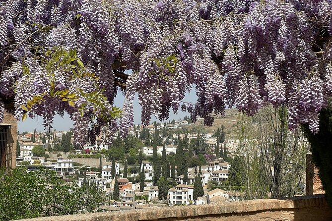 Granada : Private Alhambra Tour + Nazaries Palaces (VIP) - Nasrid Palaces: Calligraphy and Arab Architecture in One Guided Hour
