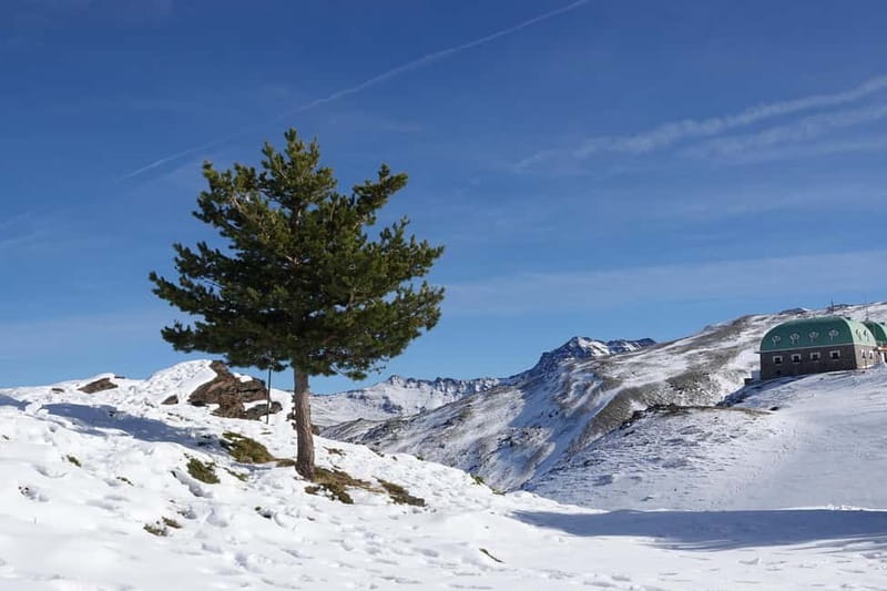 Granada: Sierra Nevada Safari Tour to 2500 m with a Drink - Wildlife and Plant Life, Including the Moments That Happen
