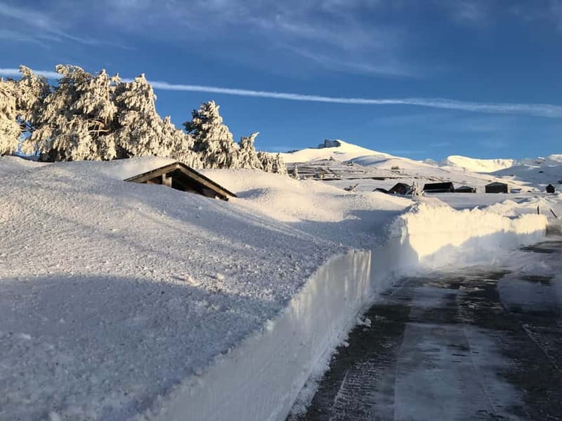 Granada: Sierra Nevada Safari Tour to 2500 m with a Drink - How the 7 Hours Flow, From Pickup to Mountain Hut Views