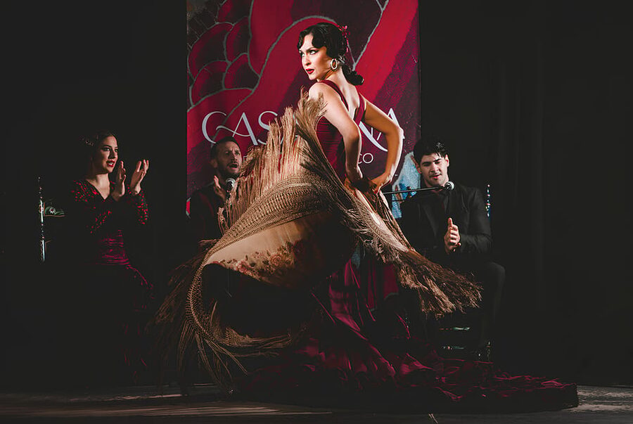 Granada: Traditional Flamenco Show at Tablao Casa Ana - Timing and check-in: how the night usually runs