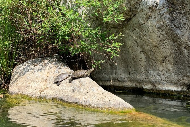 Guided Canyoning Adventure Near Marbella (Benahavís River Walk) - Stop 1: Rio Guadalmina, from meeting up to first water time