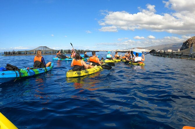 Guided Kayak Tour From Los Cristianos Beach Tenerife - Los Cristianos kayak start, exact departure times, and what that means for you
