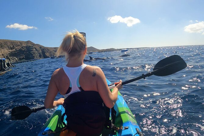 Guided Kayak Tour From Los Cristianos Beach Tenerife - Price value: what $54.44 buys you on the water in Tenerife