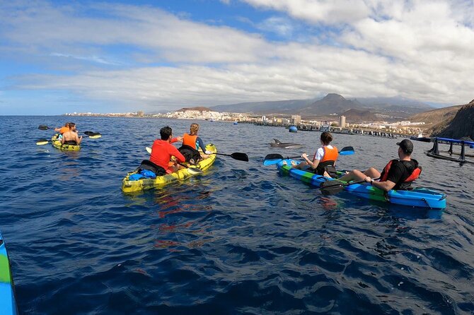 Guided Kayak Tour From Los Cristianos Beach Tenerife - Should you book? My decision guide for your day in Tenerife