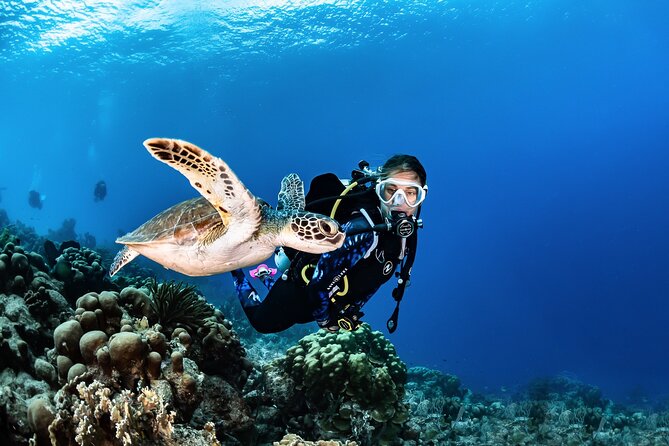 guided Scuba Diving on Tenerife (for certified divers) - Why Tenerife’s water conditions matter for certified divers