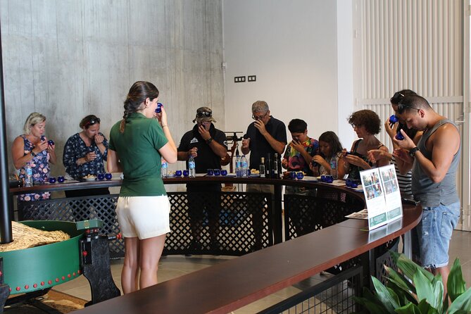 Guided tour and olive oil tasting in Alhaurin el Grande (Málaga) - Key highlights worth your time