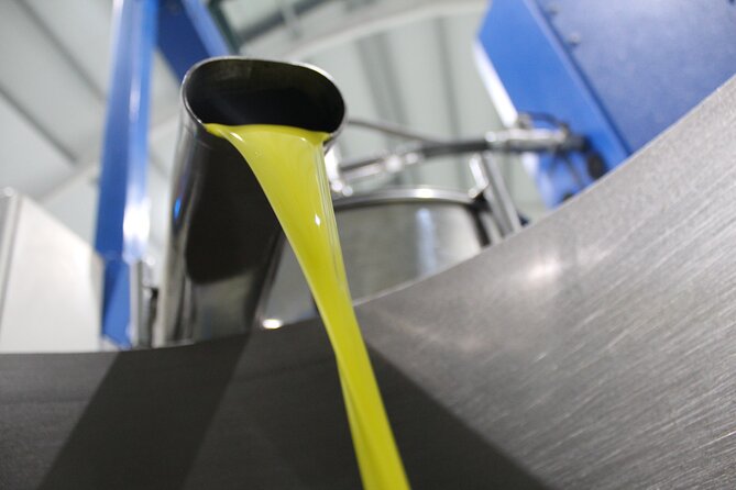 Guided tour and olive oil tasting in Alhaurin el Grande (Málaga) - The olive oil museum: seeing the centennial mill in action