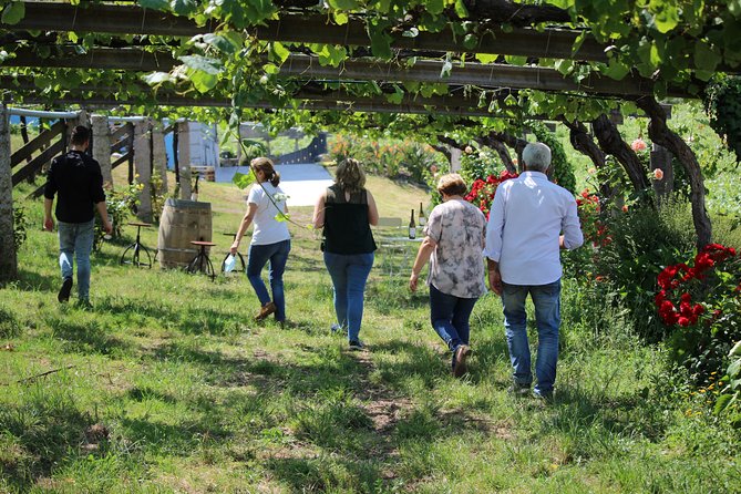 Guided tour of Bodegas Granbazán - Key highlights worth knowing