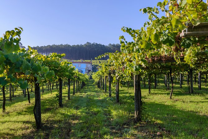 Guided tour of Bodegas Granbazán - Where the Granbazán tour fits in (Santiago de Compostela base)