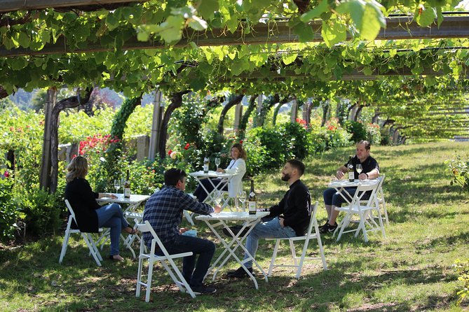 Guided tour of Bodegas Granbazán - Value check: is $30.23 a good deal for this tour?
