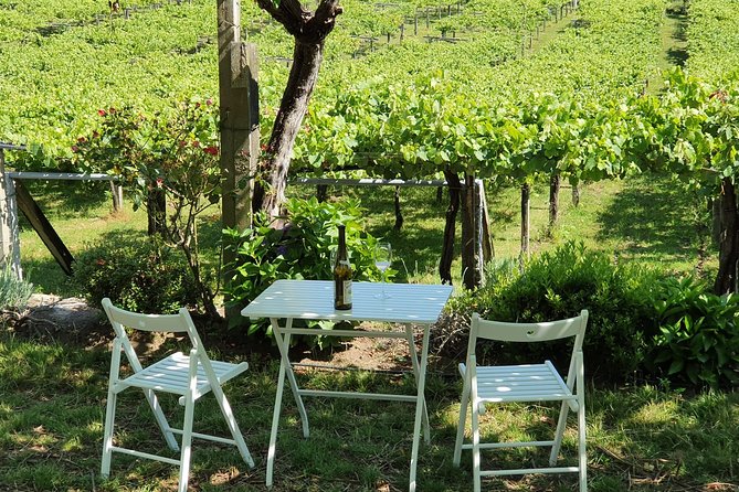 Guided tour of Bodegas Granbazán - Who this tour suits best