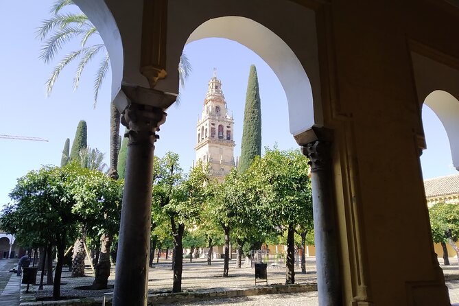Guided tour of the Mosque-Cathedral of Cordoba in Spanish - Your Spanish guide: where the real value comes from