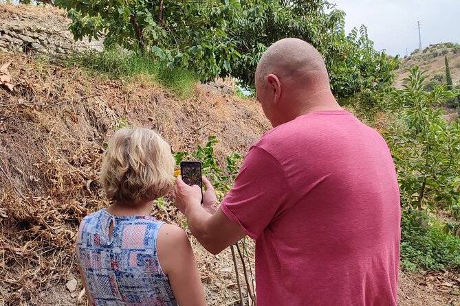 Guided Tour to the only coffee farm in Europe - Who This Tour Fits Best