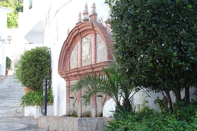 Guided Walking Tour of the Old Town of Frigiliana - Key points I’d bet on