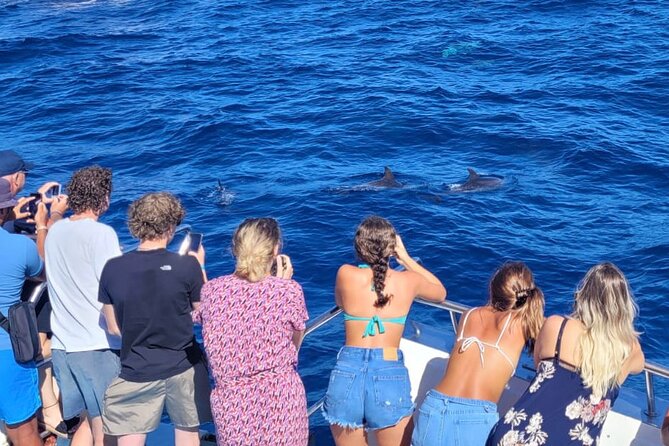 Half-Day Cruise Tour-Dolphin and Whale Watching - Getting to the marina without turning your day upside down