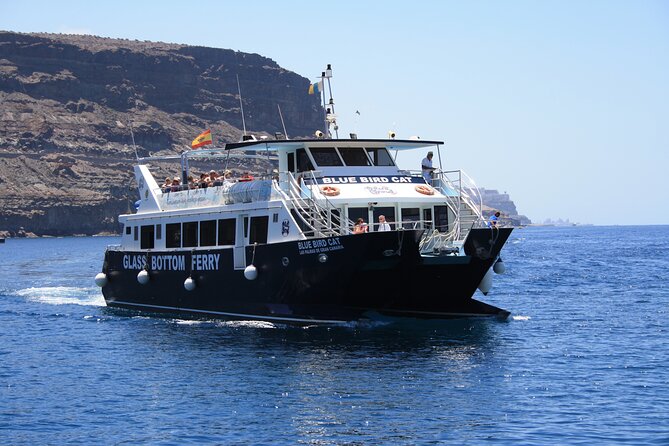 Half-Day Cruise Tour-Dolphin and Whale Watching - Boat comfort, crew energy, and how to pick your seat