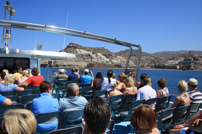Half-Day Cruise Tour-Dolphin and Whale Watching - Price and value: why $44.65 can feel fair