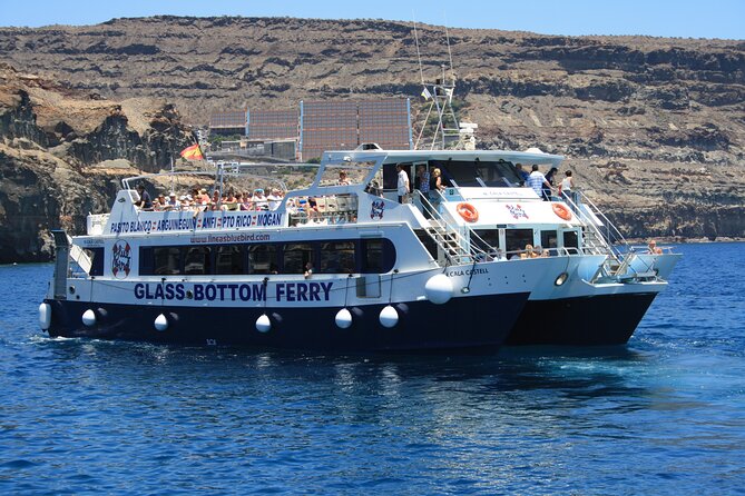 Half-Day Cruise Tour-Dolphin and Whale Watching - Should you book this dolphin and whale cruise?