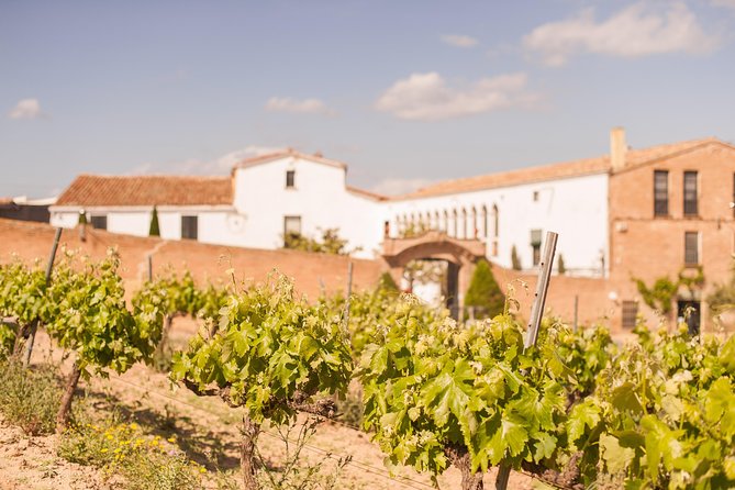 High-End Vineyard Escape: Cava, Tapas & Wine | Private Tour - Oller del Mas: family ownership, place pride, and another tasting chapter