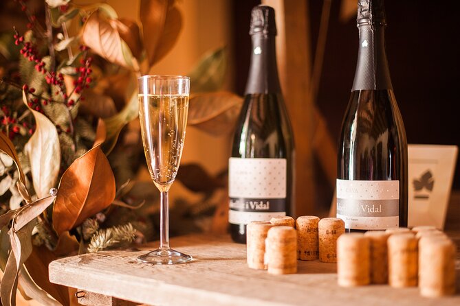 High-End Vineyard Escape: Cava, Tapas & Wine | Private Tour - Who this private cava and tapas tour suits best