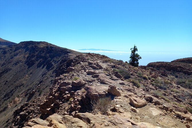 Hiking in Tenerife's Great Outdoors - Getting There: Pickup From Los Cristianos and Nearby Areas