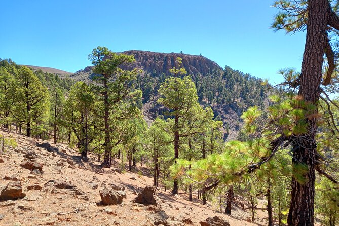 Hiking in Tenerife's Great Outdoors - What’s Included (and What You Need to Bring)