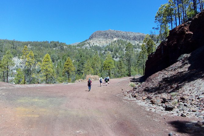 Hiking in Tenerife's Great Outdoors - Stop 1: Teide National Park, What You’ll See Along the Way