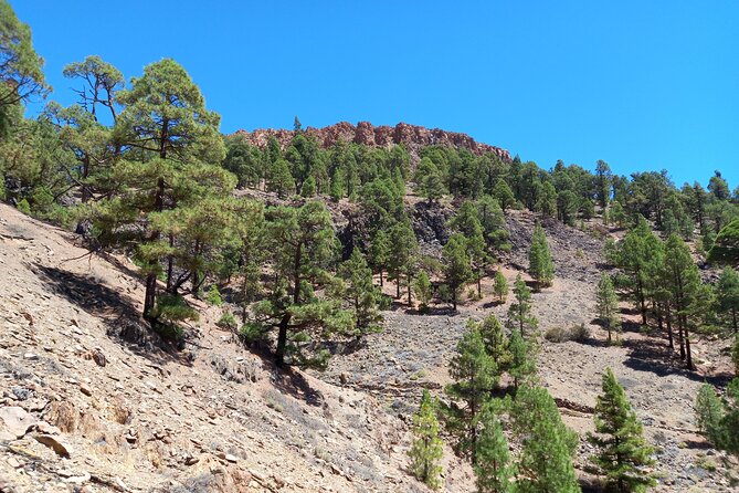 Hiking in Tenerife's Great Outdoors - How This Tour Fits Different Types of Travelers