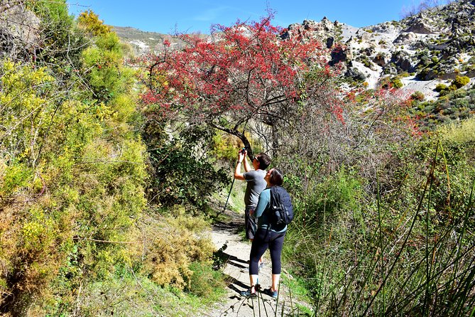 Hiking in the Canyon of the Monachil Cubs in Granada - Canyon Hike Near Granada: Los Cahorros in 3-4 Hours