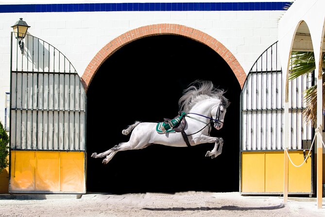 Horse and Flamenco Show in Malaga - Key Things You Should Know Before You Go