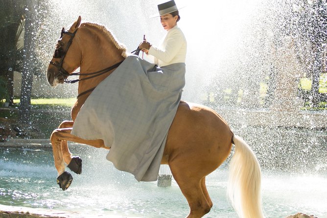 Horse and Flamenco Show in Malaga - Inside the 90-minute show, horses first, flamenco second