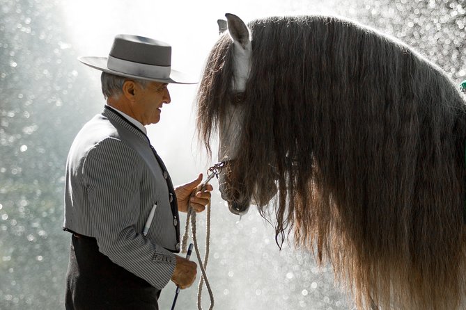 Horse and Flamenco Show in Malaga - The real value of the $41.03 ticket